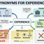 synonyms for experience