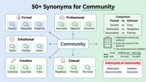 synonyms for community