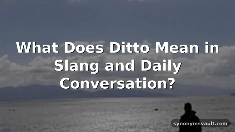 ditto meaning