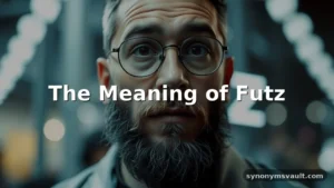 futz meaning