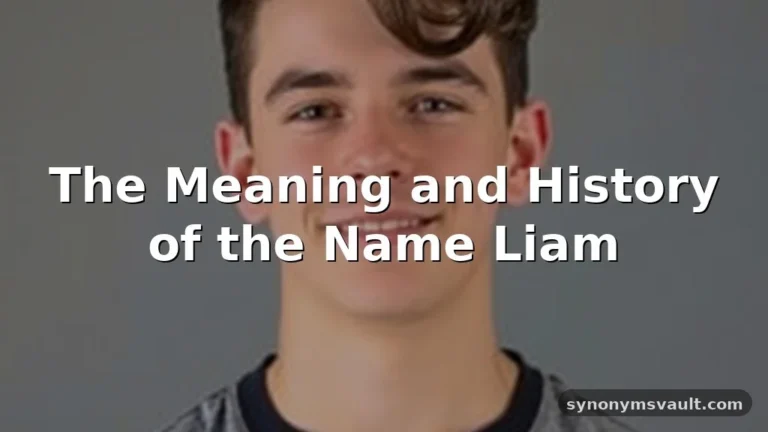 liam name meaning