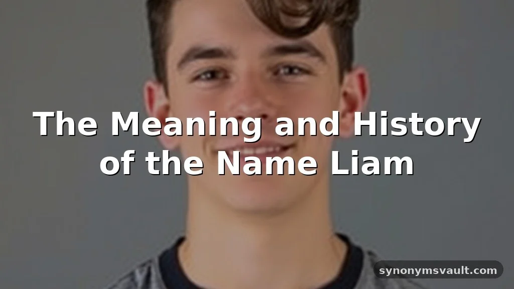 liam name meaning