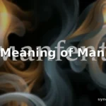 manifest meaning