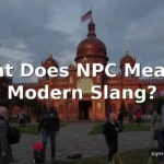 npc meaning