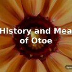 otoe meaning