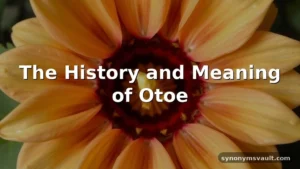 otoe meaning