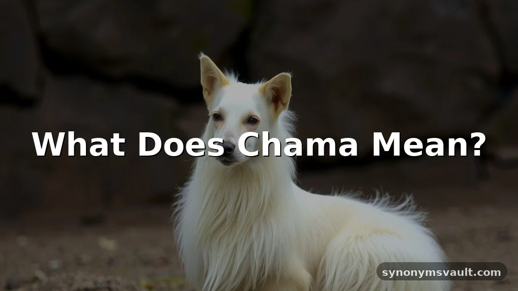 what does chama mean