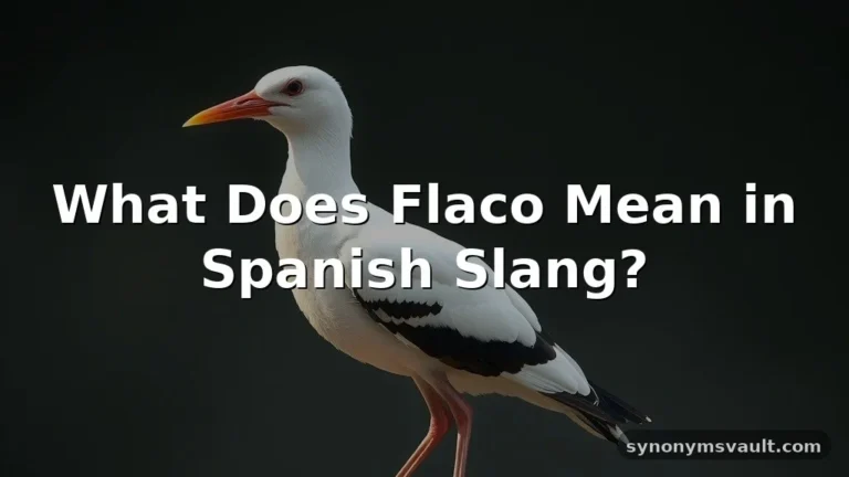 what does flaco mean in spanish