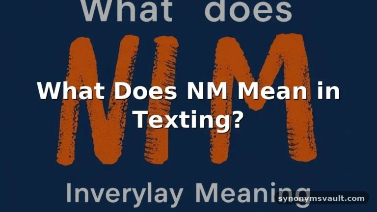 what does nm mean in texting