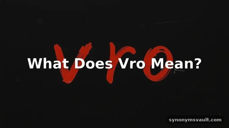 what does vro mean