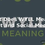 wyll meaning