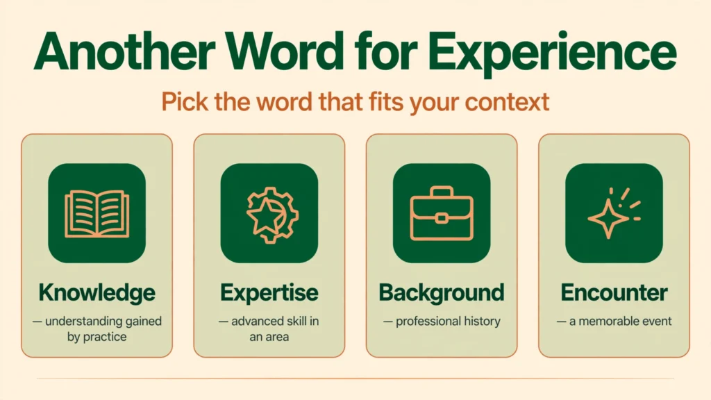Another word for experience infographic
