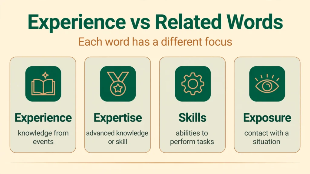 Experience vs expertise knowledge skills infographic