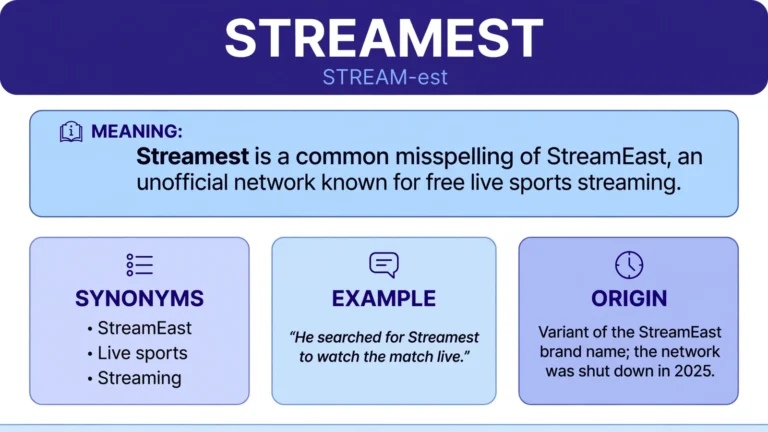 streamest meaning infographic