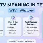 wtv meaning in text